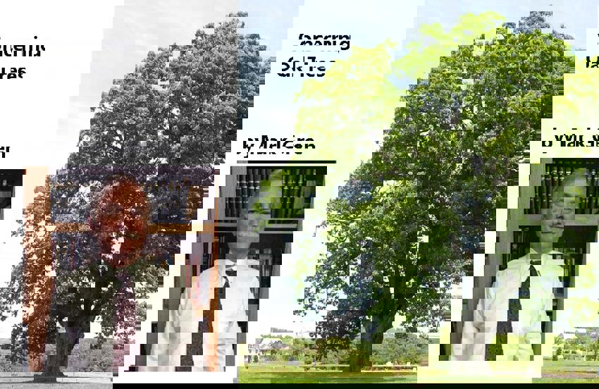 Concerning Oak Trees by Mark Green