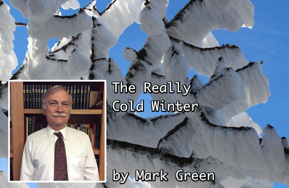 The Really Cold Winter by Mark Green