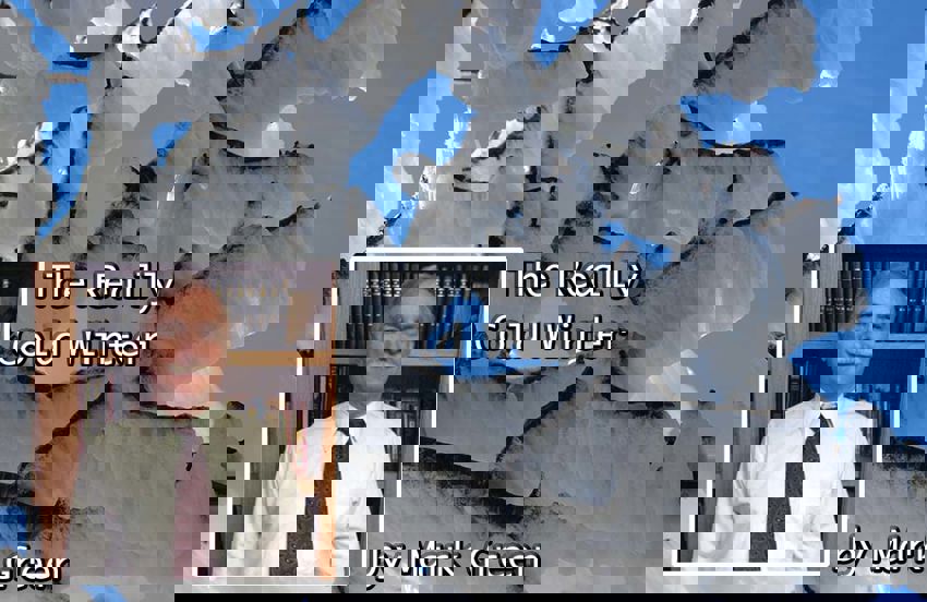 The Really Cold Winter by Mark Green