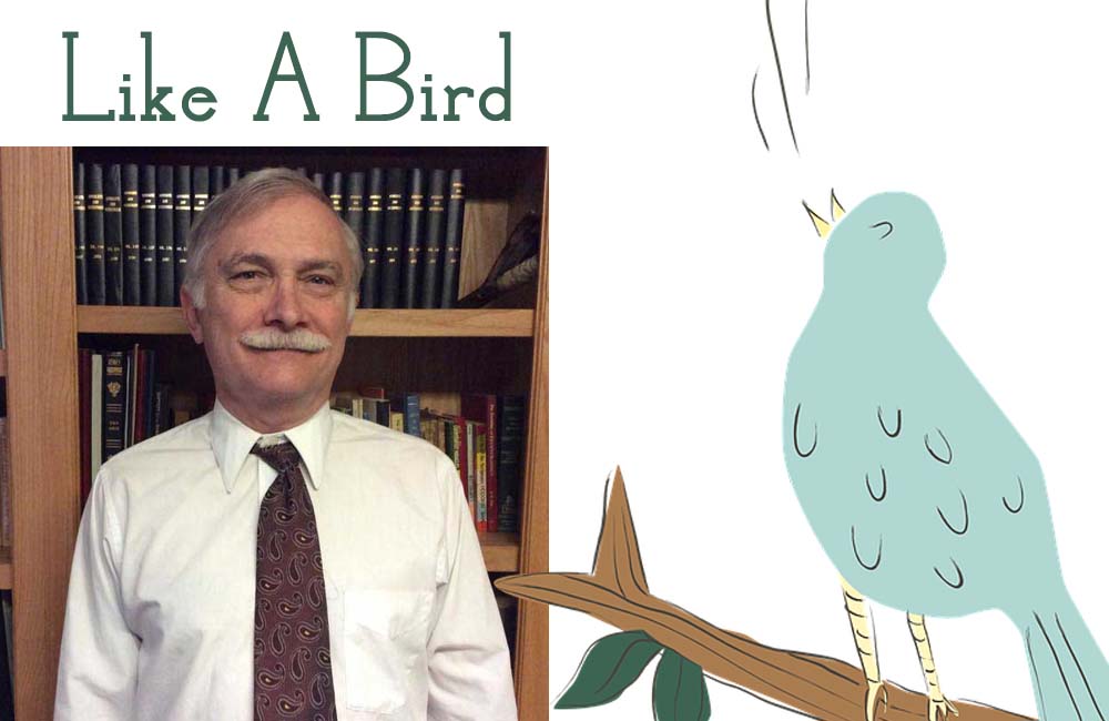 Columnist Mark Green Like A Bird