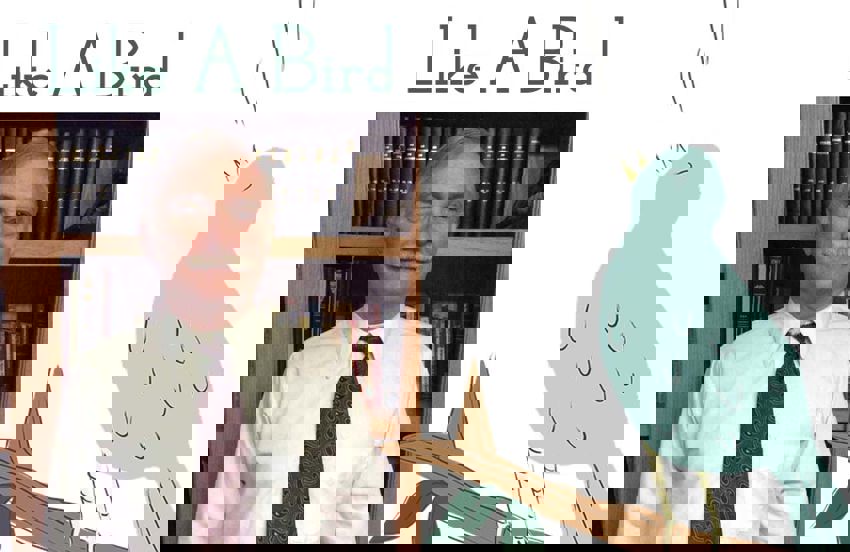 Columnist Mark Green Like A Bird