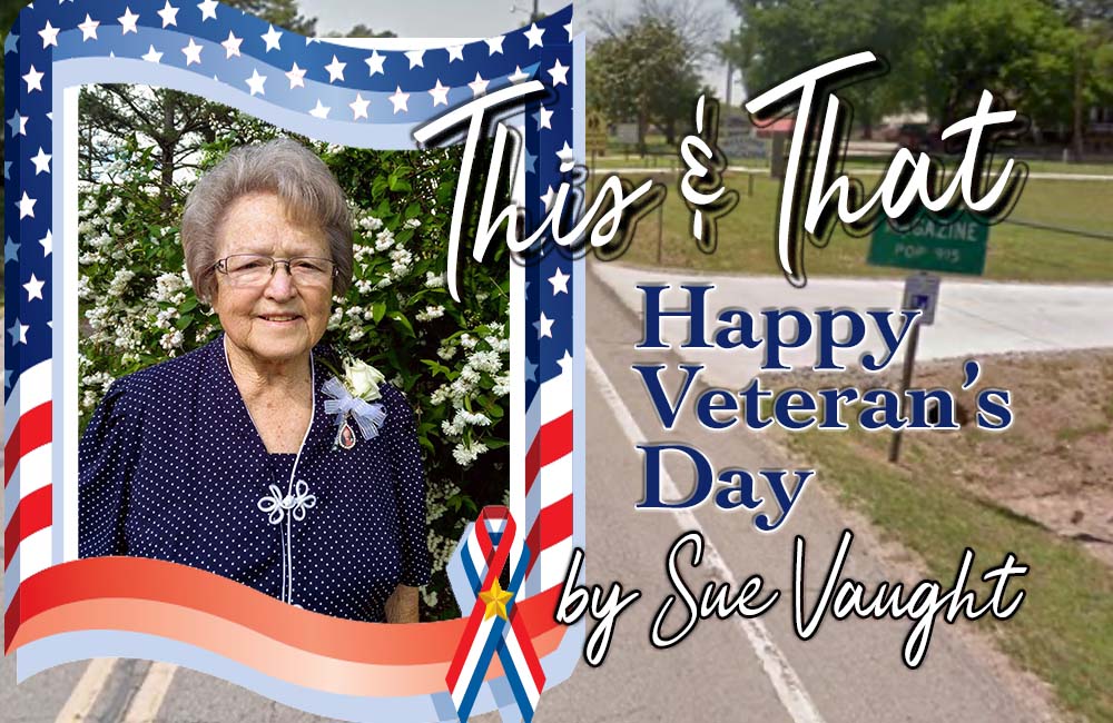 Veteran's Day by Sue Vaught