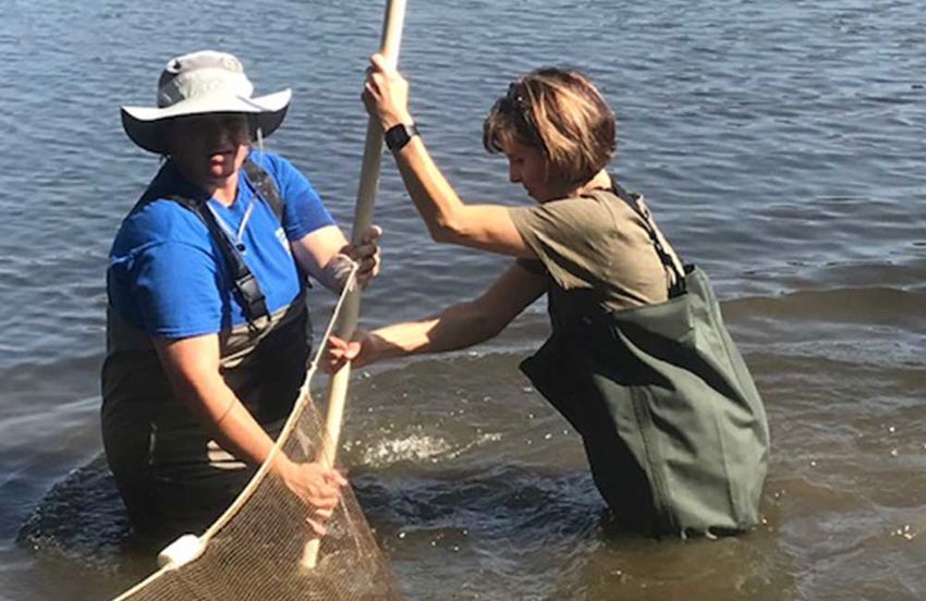 people in waders studying water ecology